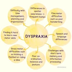 DYSPRAXIA. Differences in spatial awareness --> frequent bumps. Fine motor skills such as poor handwriting. Speech and language differences. Challenges with short term memory and information processing. Poor co-ordination, balance and posture. Gross motor difficulties such as kicking a football or riding a bike. Finding it hard to learn new motor skills. Difficulty with time management, planning and organisation. @itsEmilyKaty.